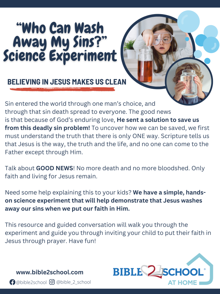 Page 1 of the “Who Can Wash Away My Sins?” Science Experiment At Home Resource